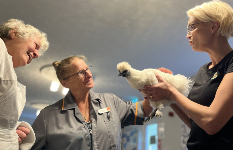 Penrith care home residents interact with Claire's Cool Creatures