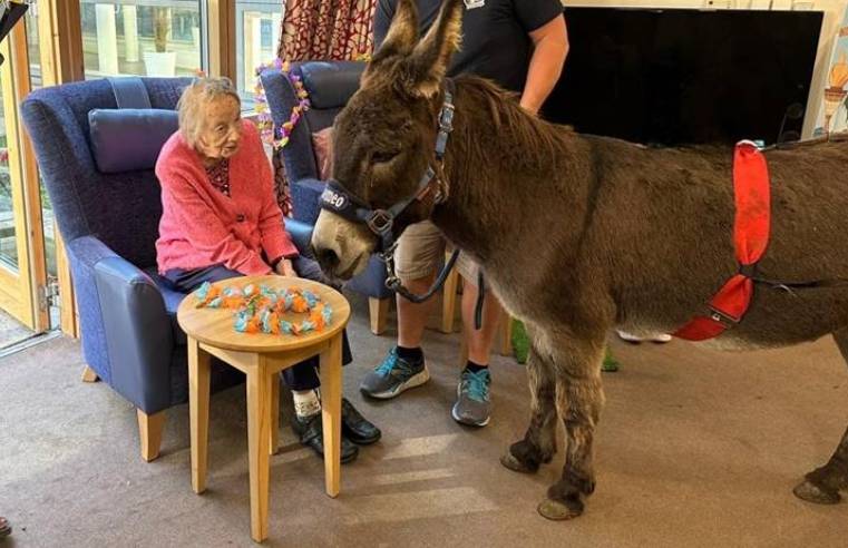 South Croydon care home residents enjoy donkey visit on seaside fun day South Croydon care home residents enjoy donkey visit on seaside fun day