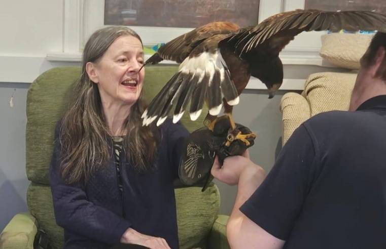 Residents at Valentine House care home enjoy Owl Adventures visit