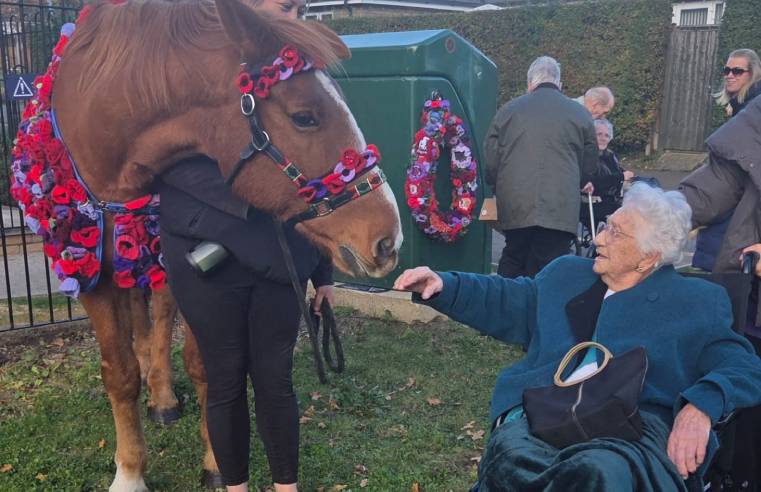 Chester the horse visits Huntingdon care home for Remembrance Day Chester the horse visits Huntingdon care home for Remembrance Day